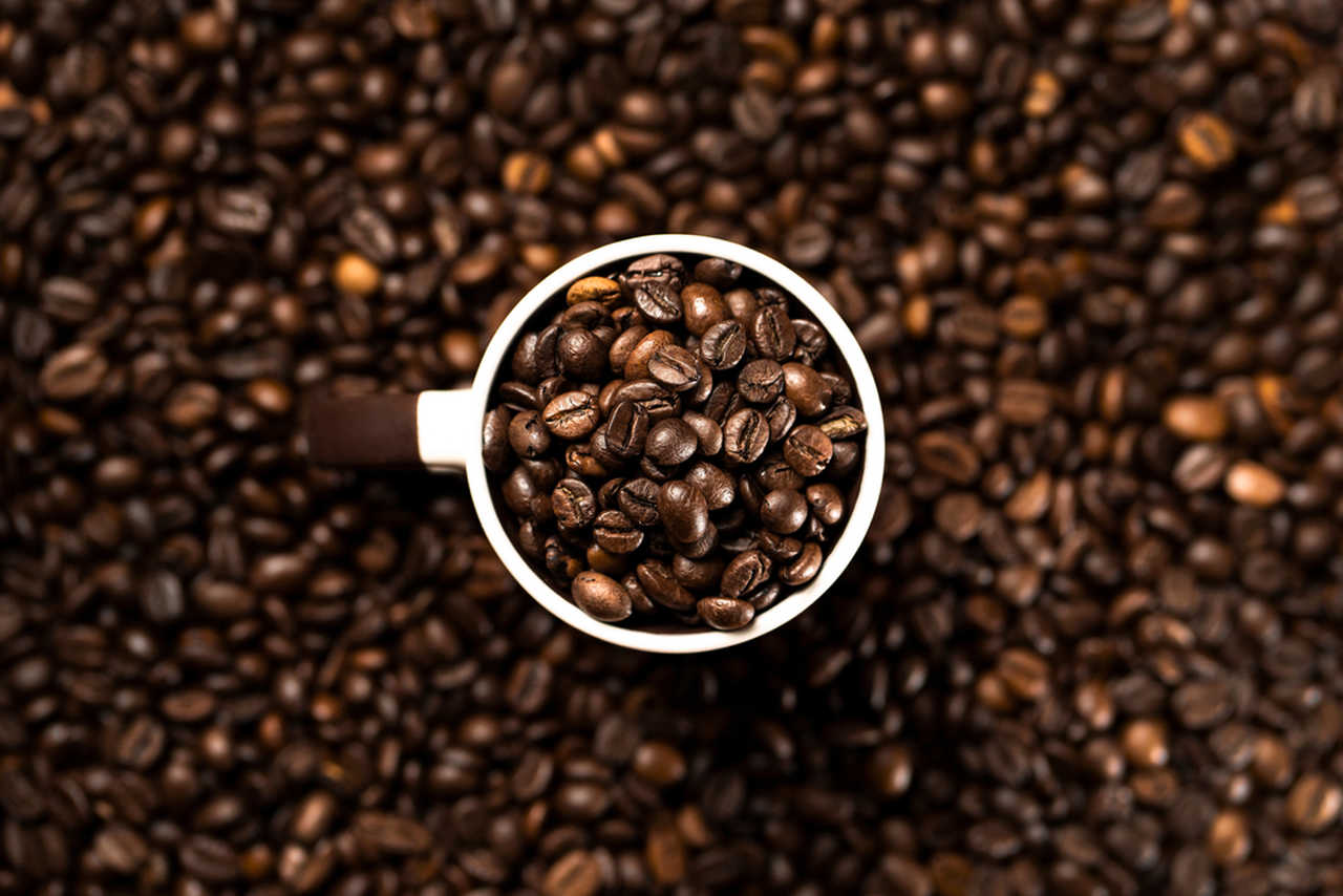 Kafein Nedir? Kafeinin Yararları ve Zararları Nelerdir? - Mocaco Coffee