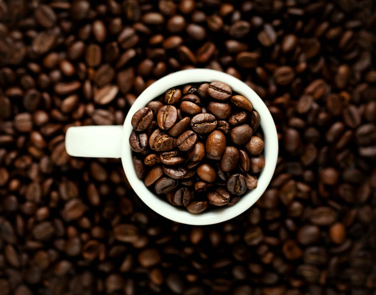 Kahve Nasıl Yetişir? Kahveye Dair Merak Ettikleriniz - Mocaco Coffee